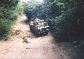 Jeep Safari